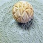 Sphere Triangles XXL